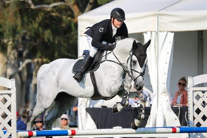 4. Tulara Dakchico was bred by Mark Fraser at Tulara Warmbloods. © Michelle Terlato (1)