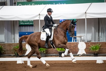 7 YO Champion WillingaPark Quincy B © Simon Scully