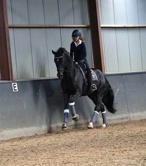 A horse and rider at Briana Burgess' clinic
