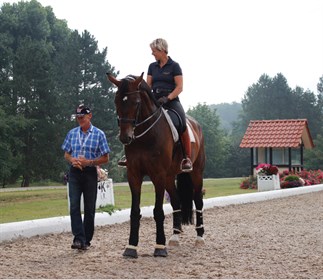 A wonderful six year old by the eponymous Furstenball... at least 18 hands next to our tallest tour guest, Shaun!
