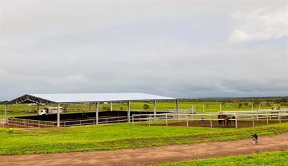 ABC Sheds Abe Graham completed covered arena