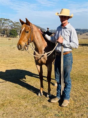 Abe Graham and Beljay First to Shine in 2019, a horse he later rode in the Nutrien sale 2021