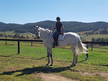 Amanda Porter © Racing Victoria