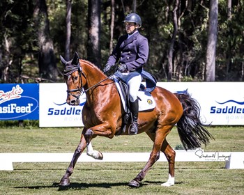 Andrew Barnett Go Tosca CCI3*-L dressage © Stephen Mowbray