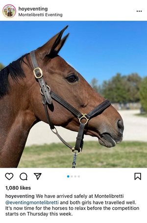Andrew Hoy Instagram screenshot