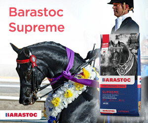 Barastoc medium February