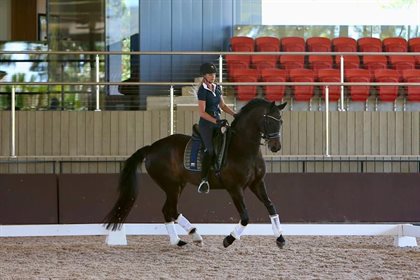 Bec Sellick riding her beautiful Fiderhall in her lesson with Jenny. © Dana Krause