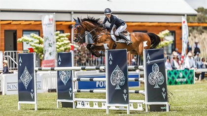 Jumping action at Boneo Park. © Boneo Park
