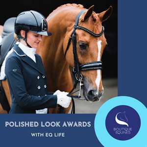 Boutique Equines Sd Design Pack prize
