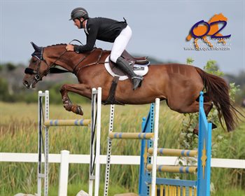 Brook Dobbin Miranda MVNZ © Derek O'Leary