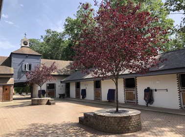 Carl Hester'a incredible yard