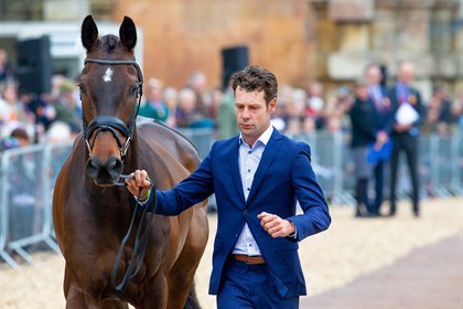 Chris Burton and Graf Liberty. © Elli Birch/BootsandHooves