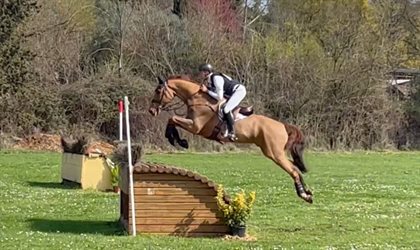 Chris Burton and Shadow Man. Image: Burton Equestrian
