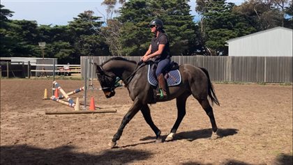 Con now after expert rehab, reconditioning and retraining