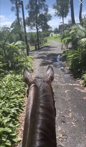 Dana and Taitti explore the grounds of Willinga Park