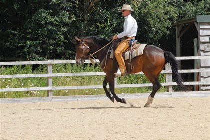 David Stuart in action.
