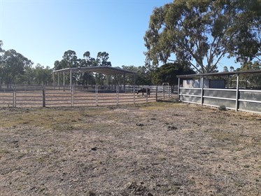 David's covered arena, built by ABC Sheds.