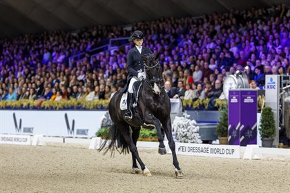 Boyd Exell, winner of the FEI Driving World Cup 2019, Mechelen, and leader in the season standings. © FEI/Dirk Caremans