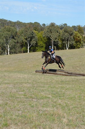 Ditches were a common problem amongst the riders, but Lucinda had most jumping confidently by the end of the day © Chloe Chadwick