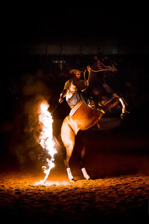 EQUITANA Melbourne © Stephen Mowbray