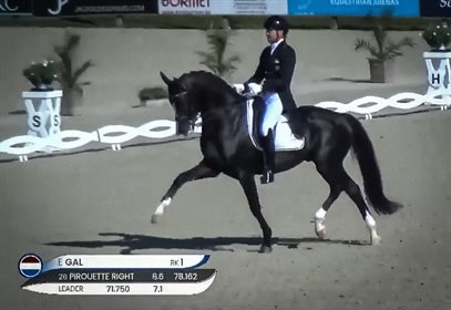 Edward Gal and Glock’s Total U.S. at Sentower Dressage Festival.
