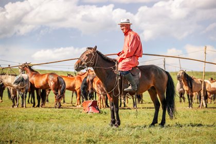 Erdene-Ochir Uuganbayar, winner of the August 2022 Mongol Derby, was a host at one of this year’s horse stations. Image: Kathy Gabriel