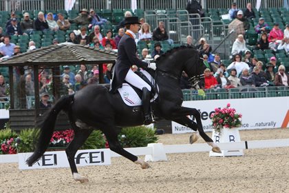 Extended canter on the long side can be striking! © Roger Fitzhardinge