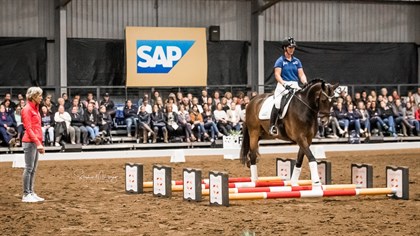 Fidera ridden by Greer Moloney - © Stephen Mowbray