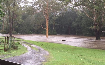 Flooded Horse Floppy Paddock © Rebecca Moana