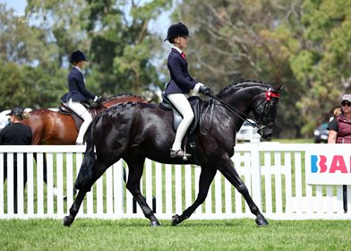 Grace Baines and Gentry Park Black Label. © Angie Rickard Photography