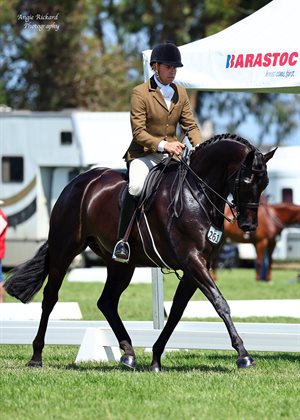 Greg Mickan riding Stephanie Barrington’s Global PPS. © Angie Rickard Photography