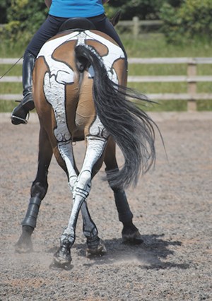Half pass in the trot. Photo: Exisle Publishing.