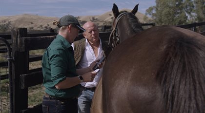 Horse Passport is already used by a range of industry professionals.