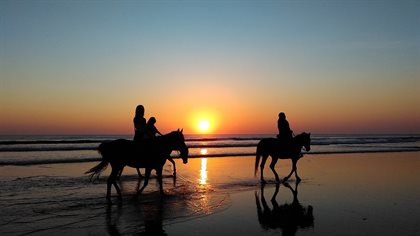 Horse riding on beach at sunset free from pixabay