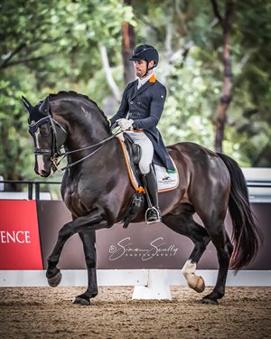 JHT Chemistry, ridden by John Thompson, placed 3rd in the Grand Prix © Simon Scully
