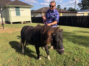 Jasper the miniature stallion back with his very happy family. Credit NSW SES Hawkesbury Unit