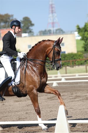 Jayden Brown and Willingapark Fusion, second in the Prix St Georges. © Roger Fitzhardinge