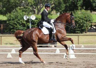 Jayden Brown and Willingapark Quincy B, second in the Inter I. © Roger Fitzhardinge