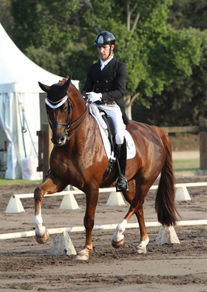 Jayden Brown and Willingapark Quincy B, winners of the Prix St Georges. © Roger Fitzhardinge