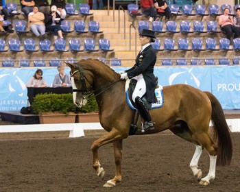 Judith Dierks on Diamond Star, winner of the Grand Prix at the 2016 NSW Dressage Championships.  Photographer:  Franz Venhaus