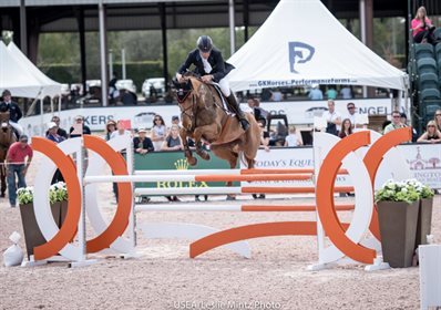 Lynn Symanksy and Donner jumped double clear on cross-country at the 2018 FEI World Equestrian Games © USEA/Leslie Mintza