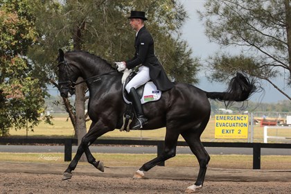 Lewis and Ferdi in the competition arena. © Rodneys Photography