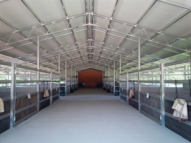 Light, ventilation and ceiling height are important considerations when planning