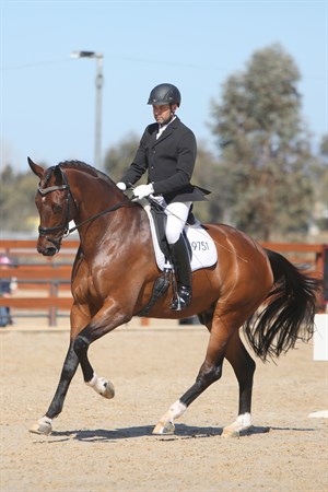 Mark Arthur and Cleddau Bellini, Champion Elementary horse. © Roger Fitzhardinge
