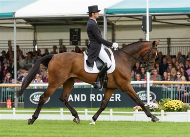 Mark Todd and NZB Campino at Burghley Horse Trials © Burghley Horse Trials