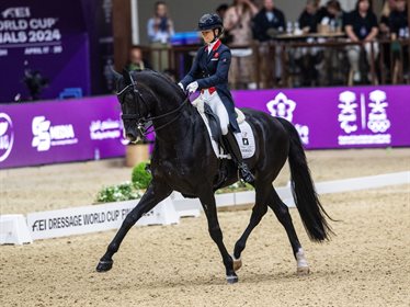 Rowan Willis of Australia on Blue Movie © FEI/Martin Dokoupil