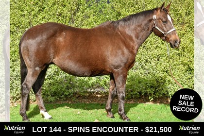Nutrien Equine Lot 144