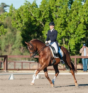 Perfect position, Robbie McKinnon and Robali Razzamatazz. © Franz Venhaus
