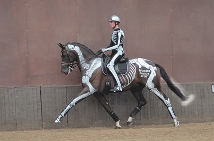 Rider position. Photo supplied by Exisle Publishing