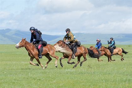 Riders in race mode. © Shari Thompson
